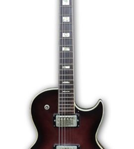 Unknown Les Paul Style Guitar